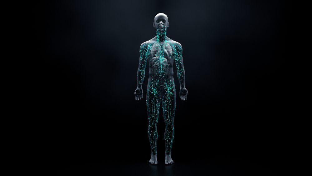 Shutter Stock/ أثقل أعضاء جسم الإنسان