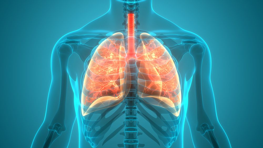 الانسداد الرئوي بسبب التليف الكيسي| shutterstock