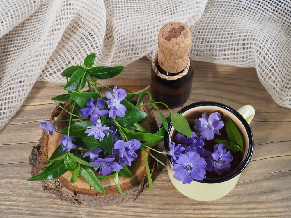 زهرة الونكا