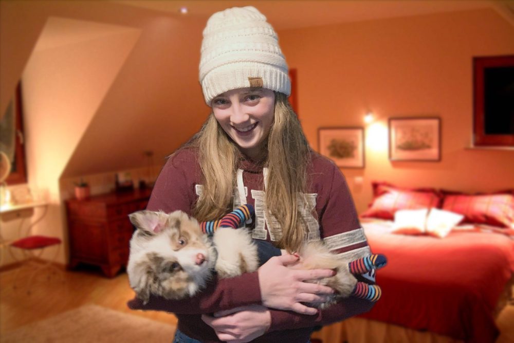 رايلي هورنر