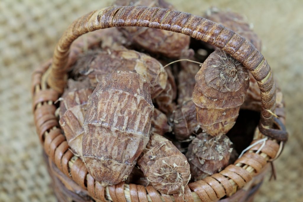 حب العزيز