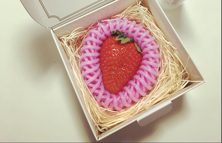 فراولة كوتوكا