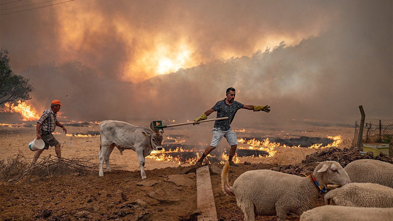 الحرائق في تركيا