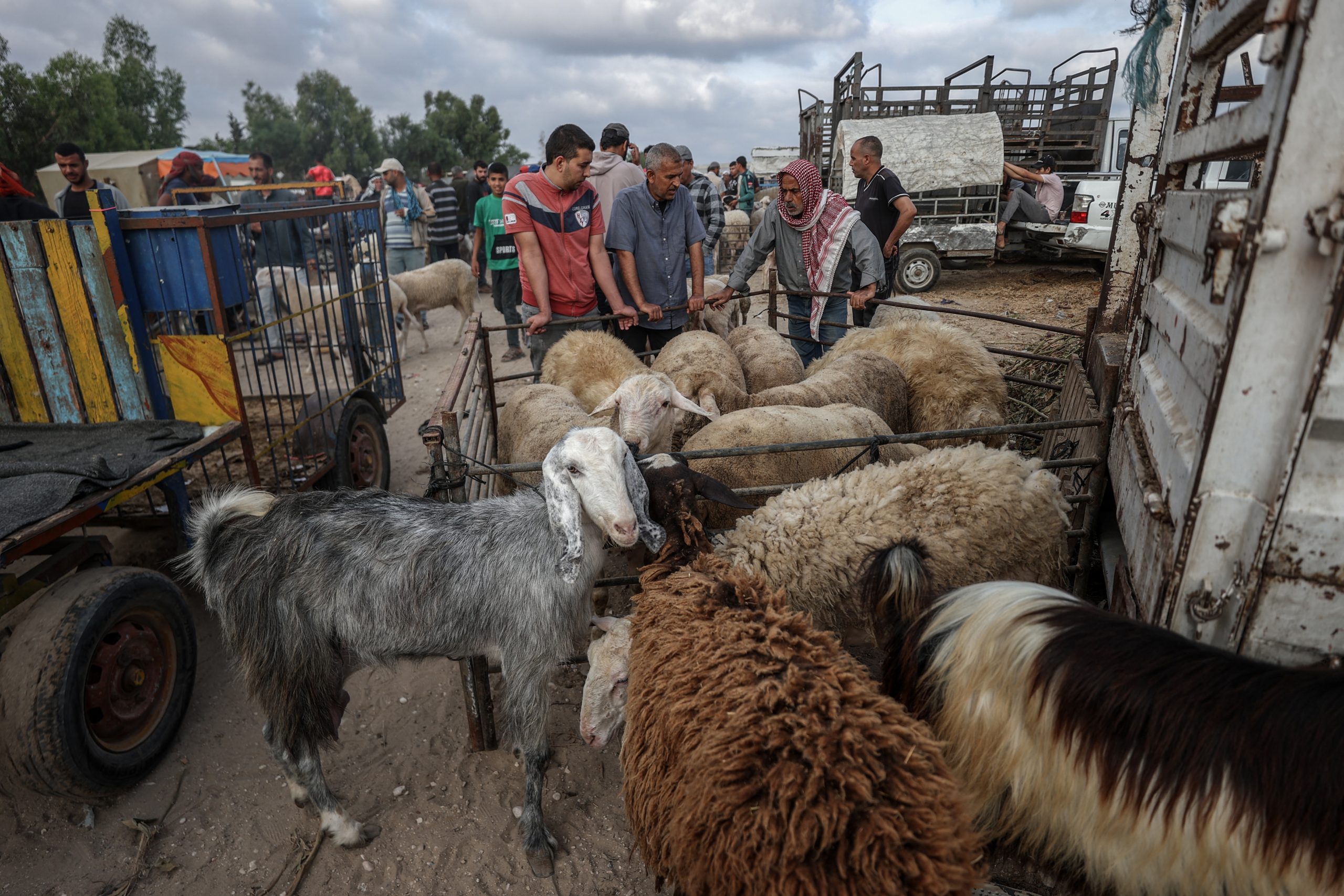 صور لجزار يعلق لحوم الأضاحي على عمود قطار في مصر تثير جدلاً.. والسلطات تتحرك