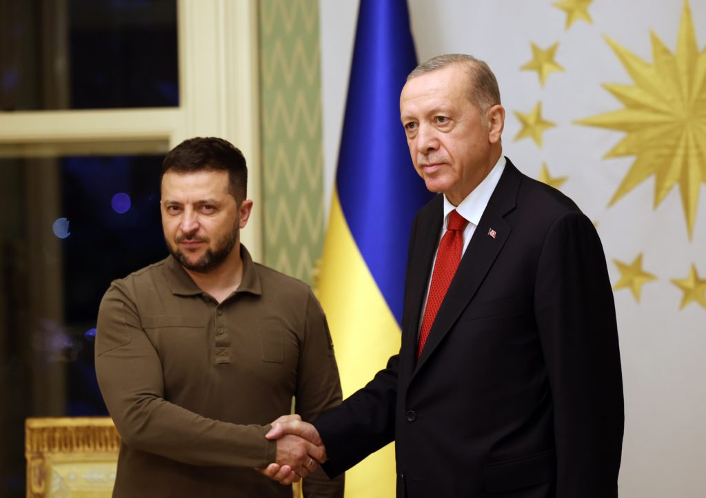 أردوغان وزيلينسكي/ الأناضول