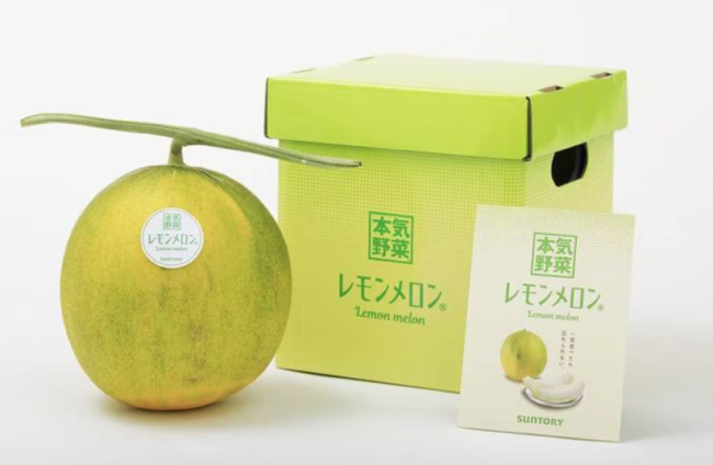 يصل سعر الحبة الواحدة إلى 22 دولاراً.. ما هي ثمرة “بطيخ الليمون” التي طوّرتها شركة يابانية؟