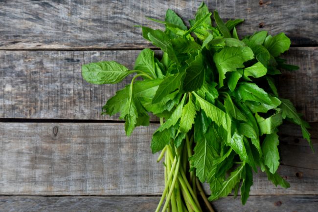 يعزز المناعة والحفاظ على الوزن الصحي.. فوائد نبات إيبازوت واستخداماته