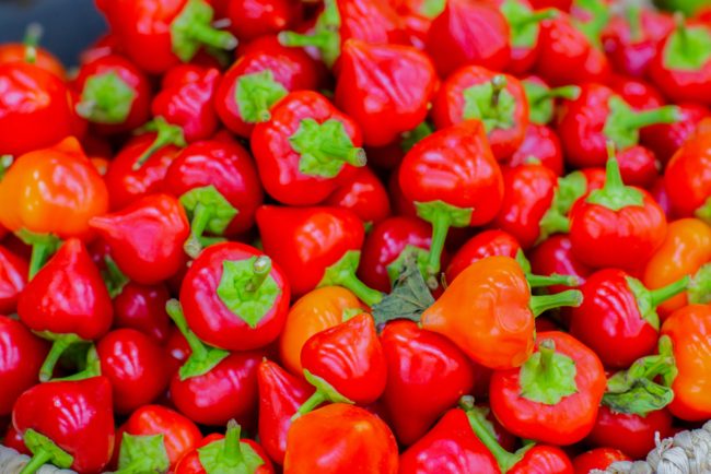 يخفف الألم ويحمي من الشيخوخة والتجاعيد.. فوائد واستخدامات زيت الفلفل الحلو