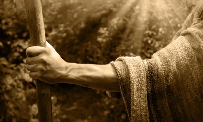 النبوة والرسالة.. ضرورة عقلية وحاجة بشرية