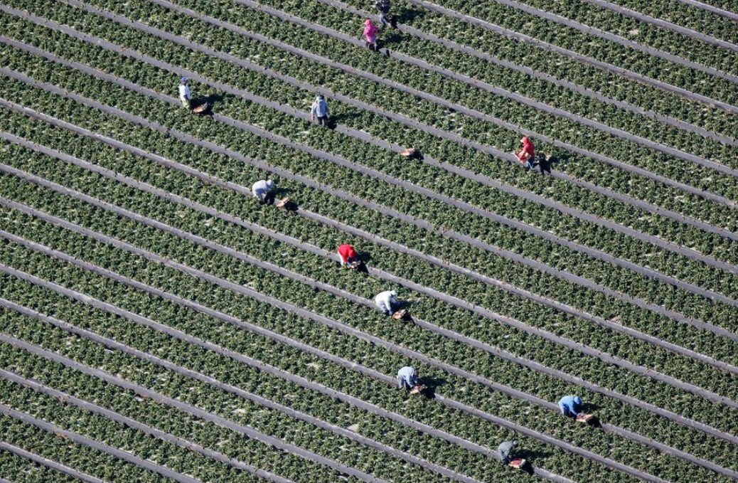 مستثمرون أمريكيون يريدون بناء “مدينة فاضلة”.. اشتروا 55 ألف فدان لحياة قائمة على الطاقة النظيفة