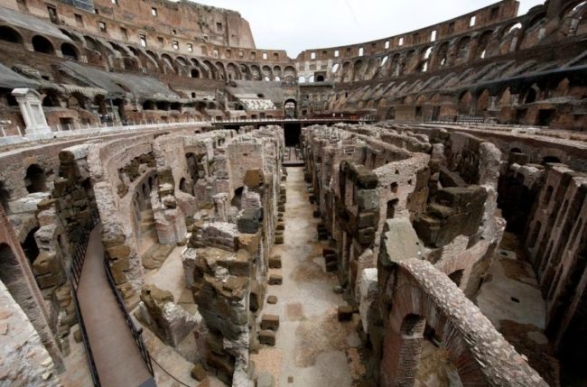 روما تُعلن الحرب على الفئران بعد غزوها منطقة تاريخية.. السلطات رصدت 7 ملايين من القوارض بالمدينة