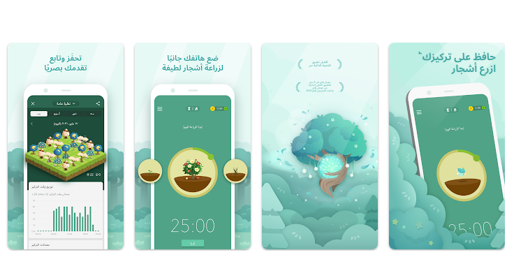 تنظيم الوقت