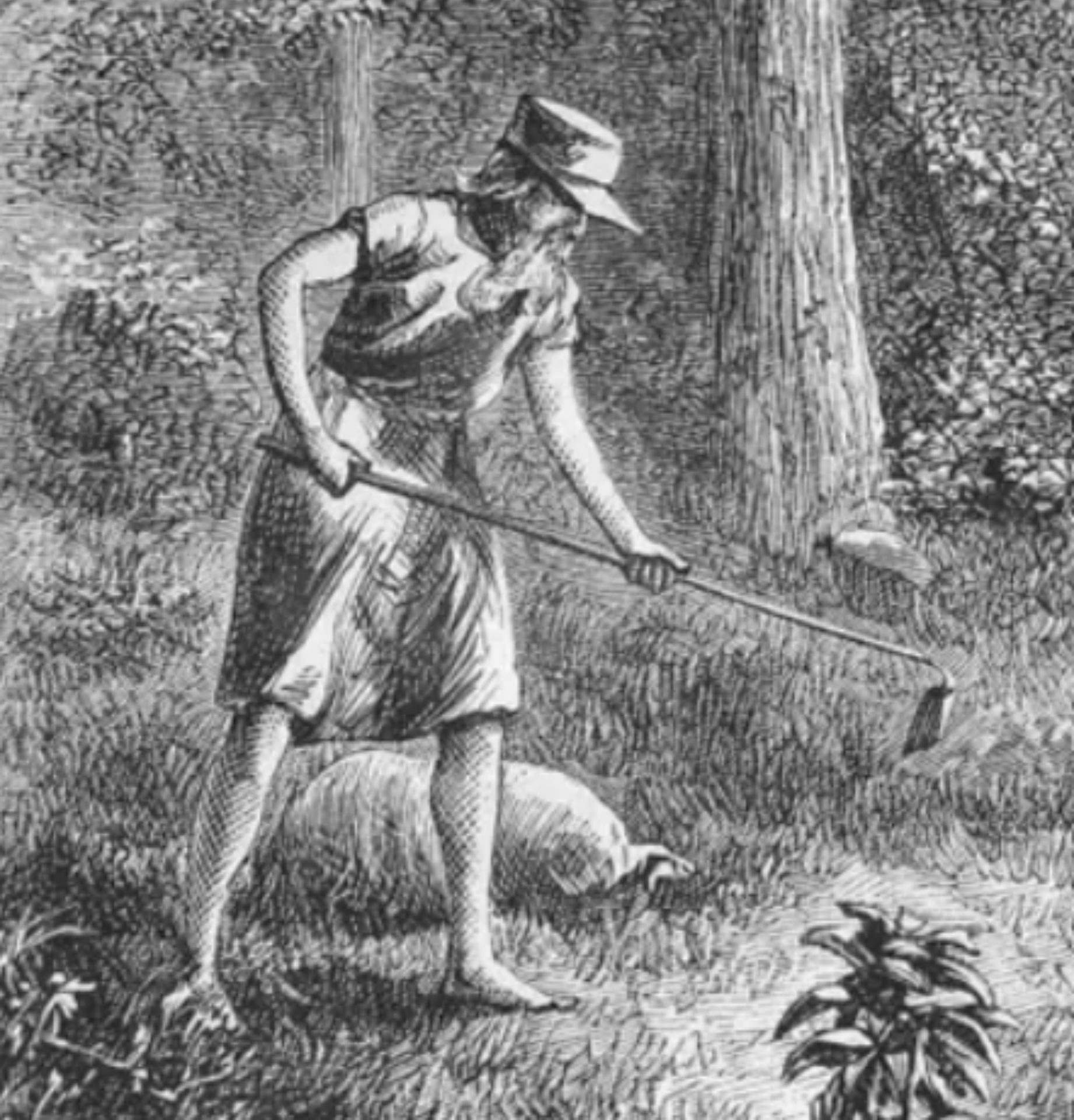 صورة لجون أبلسيد نُشرت في  <em>Harper's New Monthly</em> عام 1871/ Wikipedia