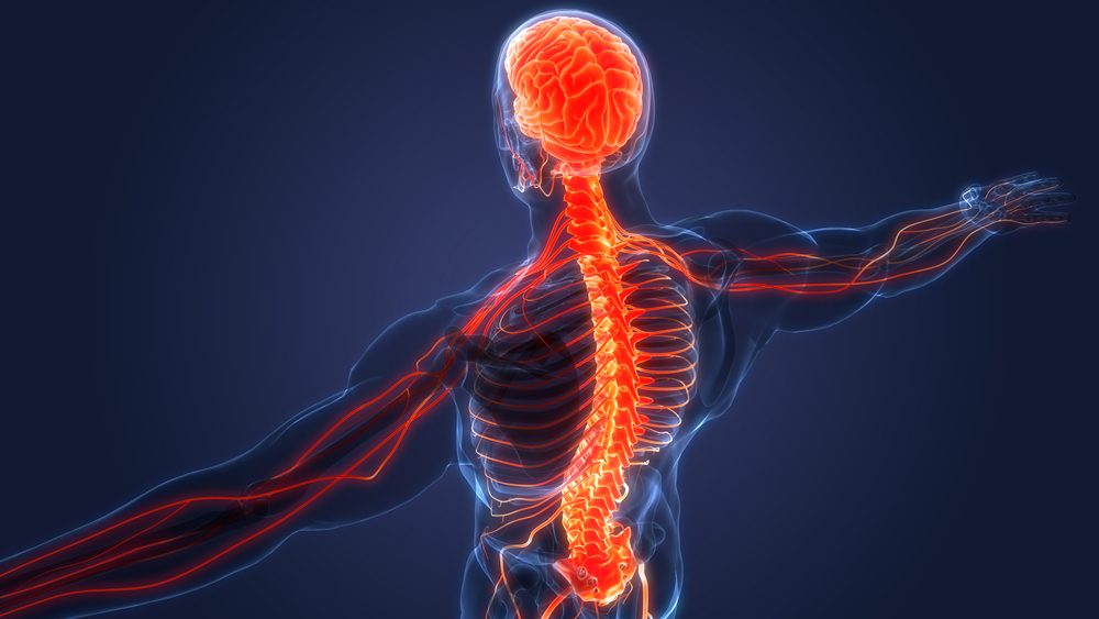 يحدث المرض نتيجة التهاب المادة التي تحمي الأعصاب في النخاع الشوكي - Shutterstock