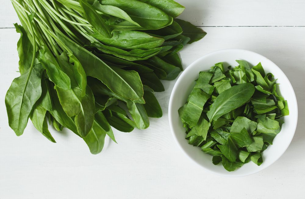 هناك العديد من الفصائل لنبات الحميض - ShutterStock