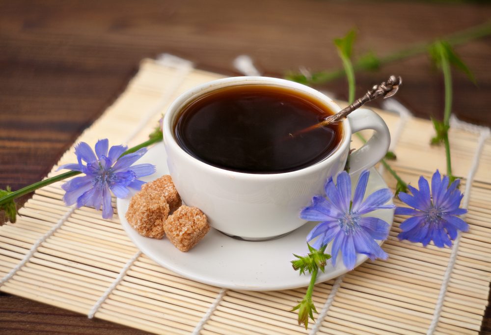 قهوة الشيكوريا | shutterstock