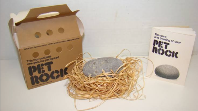 من بينها “حَجرة أليفة”.. “اختراعات تافهة” لكنها جعلت أصحابها أغنياء