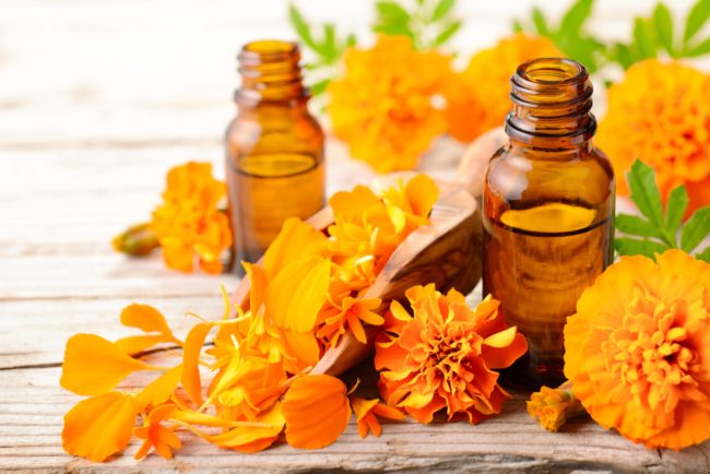 كان يستعمل قديماً لعلاج الأمراض الجلدية.. فوائد زيت المخملية للبشرة والشعر