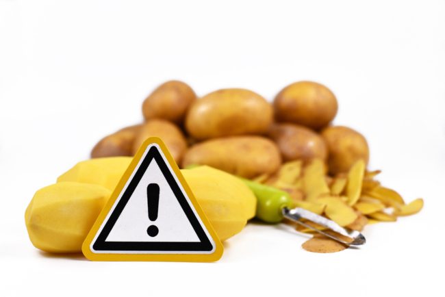 تناوله قد يؤدي إلى الوفاة.. ما هو سم السولانين الذي يتكون في البطاطس، ومتى يصبح تناوله خطراً؟