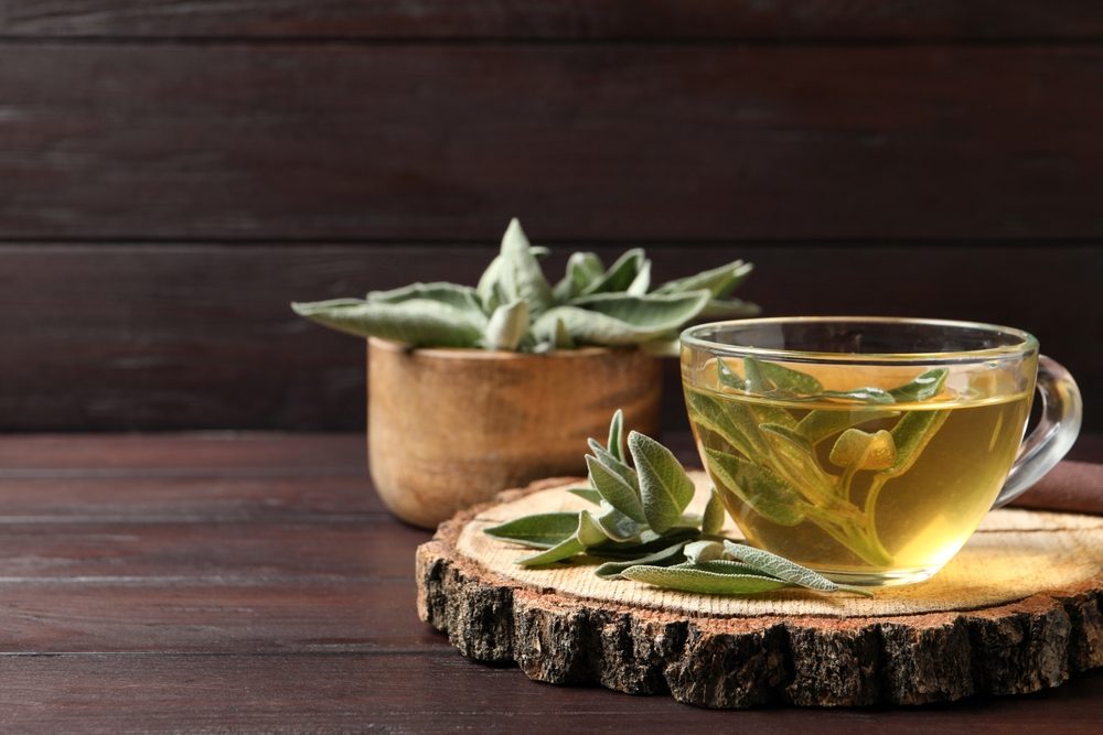 شاي السالفيا| shutterstock