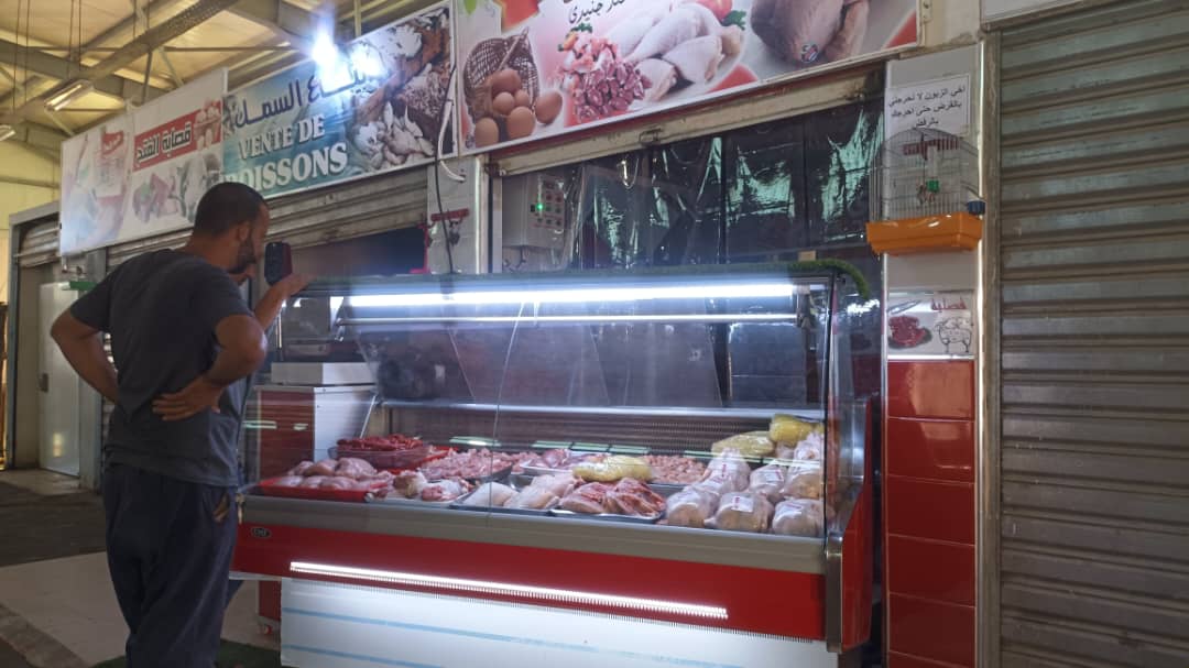 استيراد العجول الفرنسية الجزائر