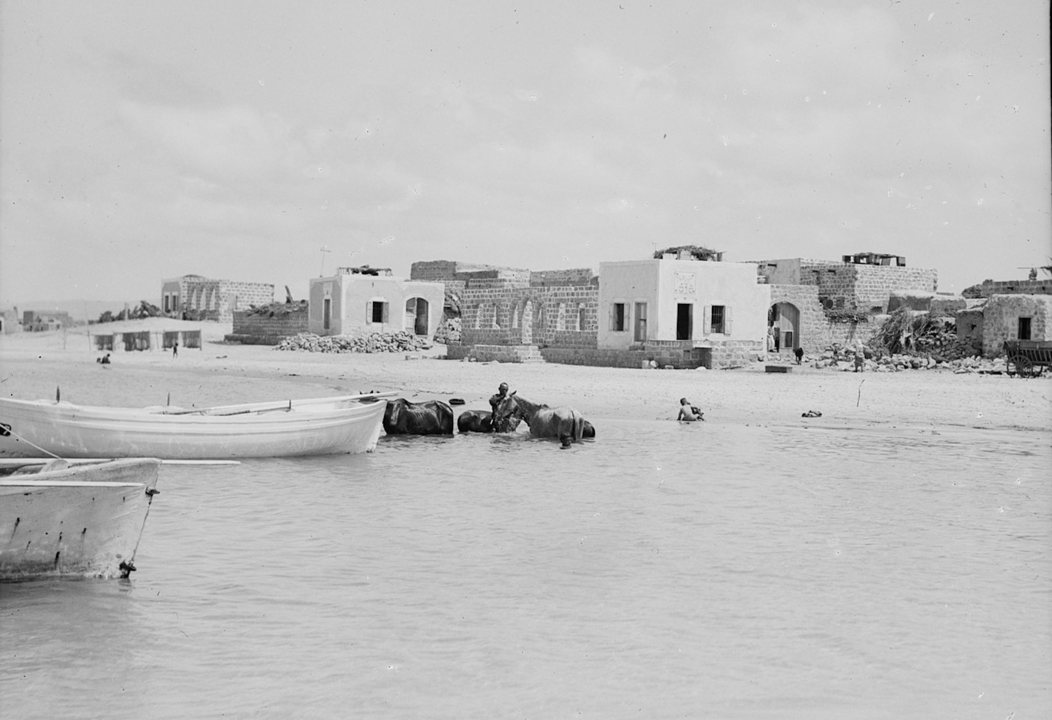 الطنطورة قرية ساحلية على المتوسط/ Wikipedia