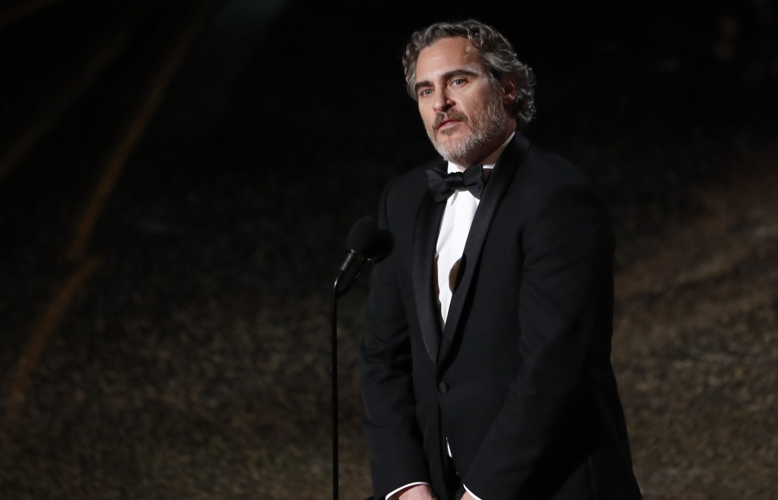 غزة هوليوود بايدن