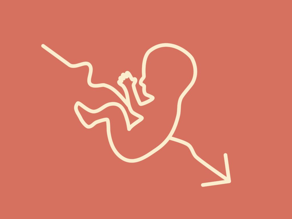 معدلات الخصوبة