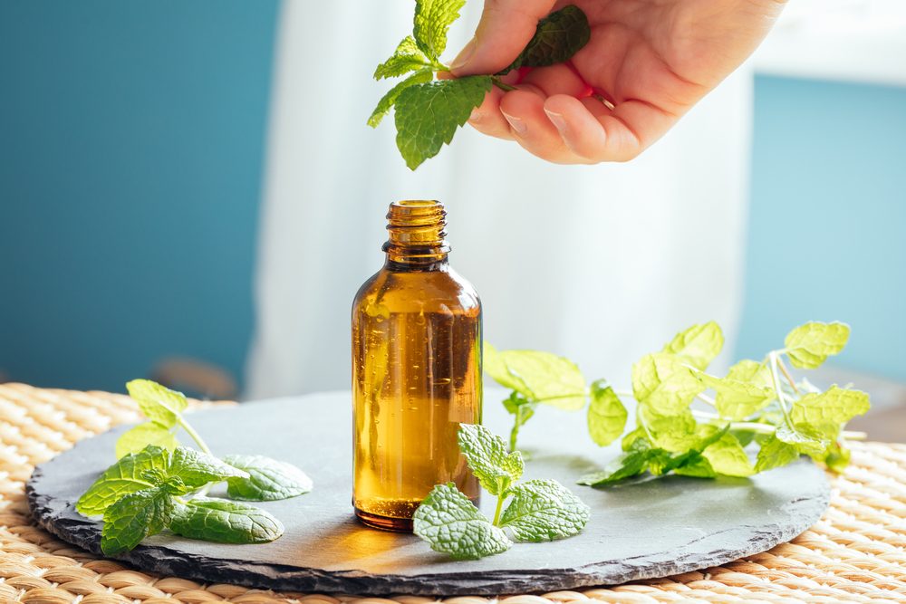 زيت النعناع| shutterstock