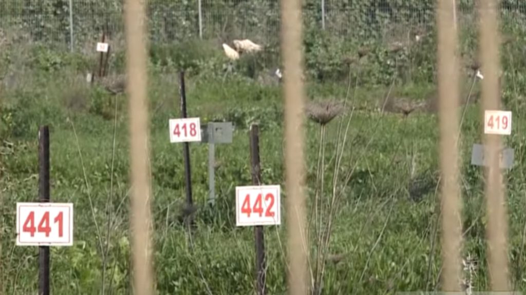 مقابر الأرقام الإسرائيلية