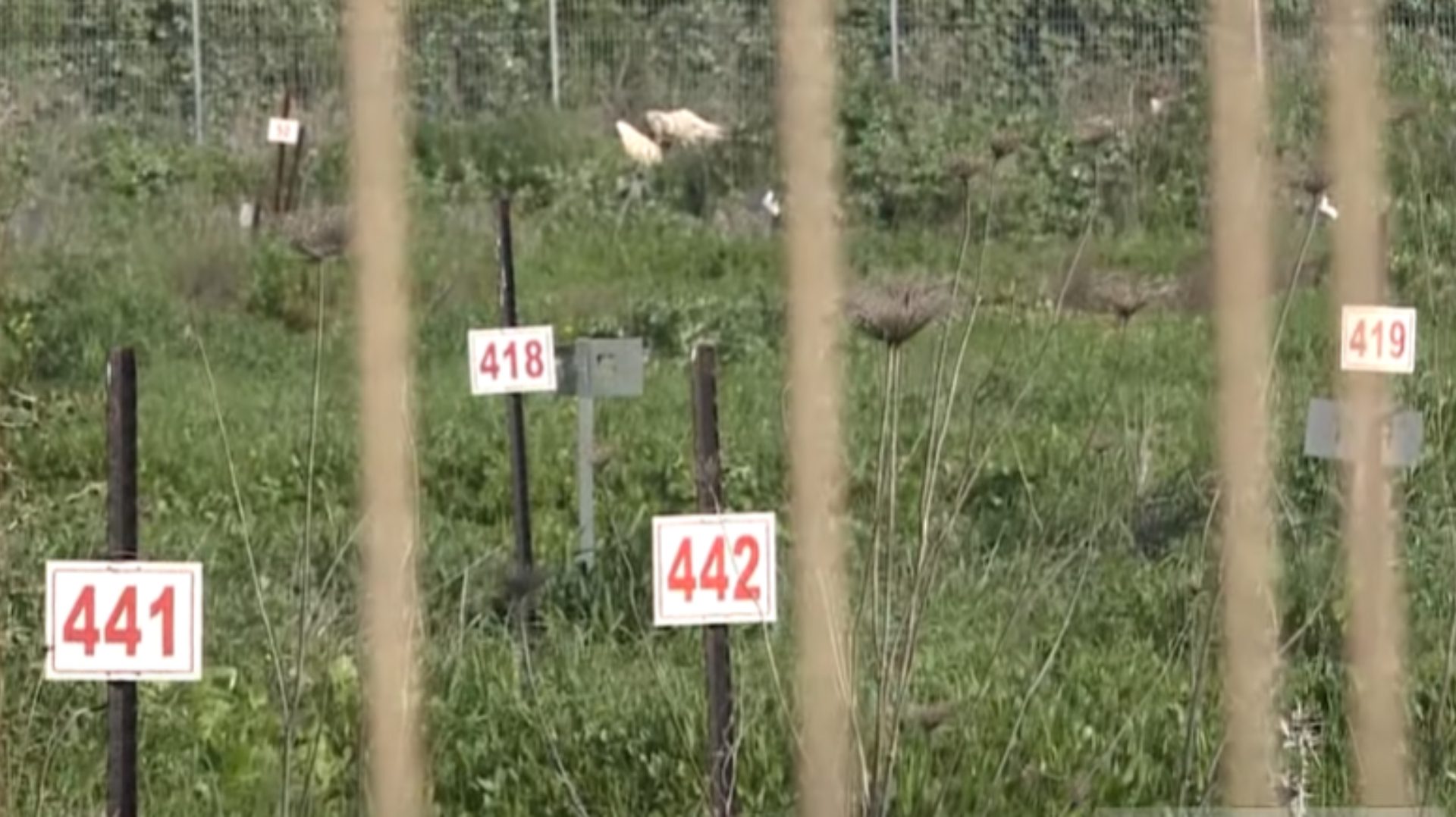 مقابر الأرقام الإسرائيلية