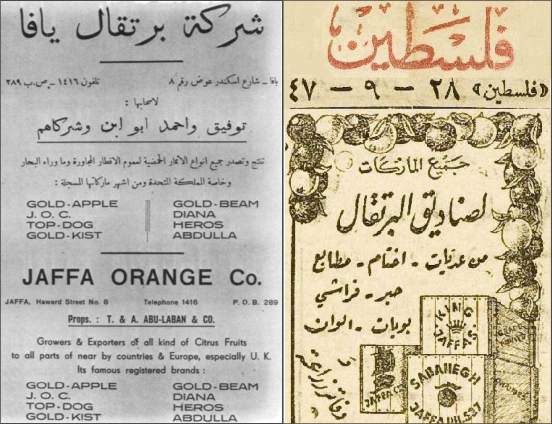 إعلانات مرتبطة بالبرتقال والحمضيات في يافا/ مواقع التواصل