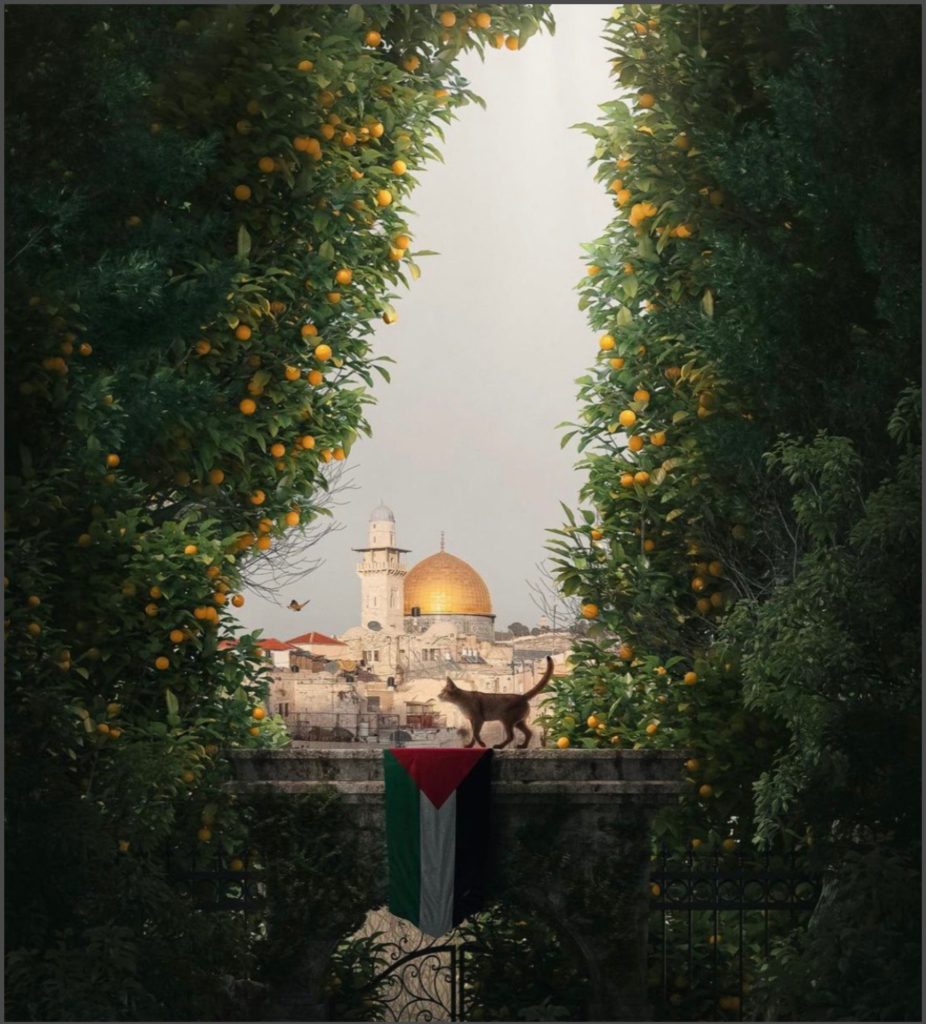 برتقال يافا