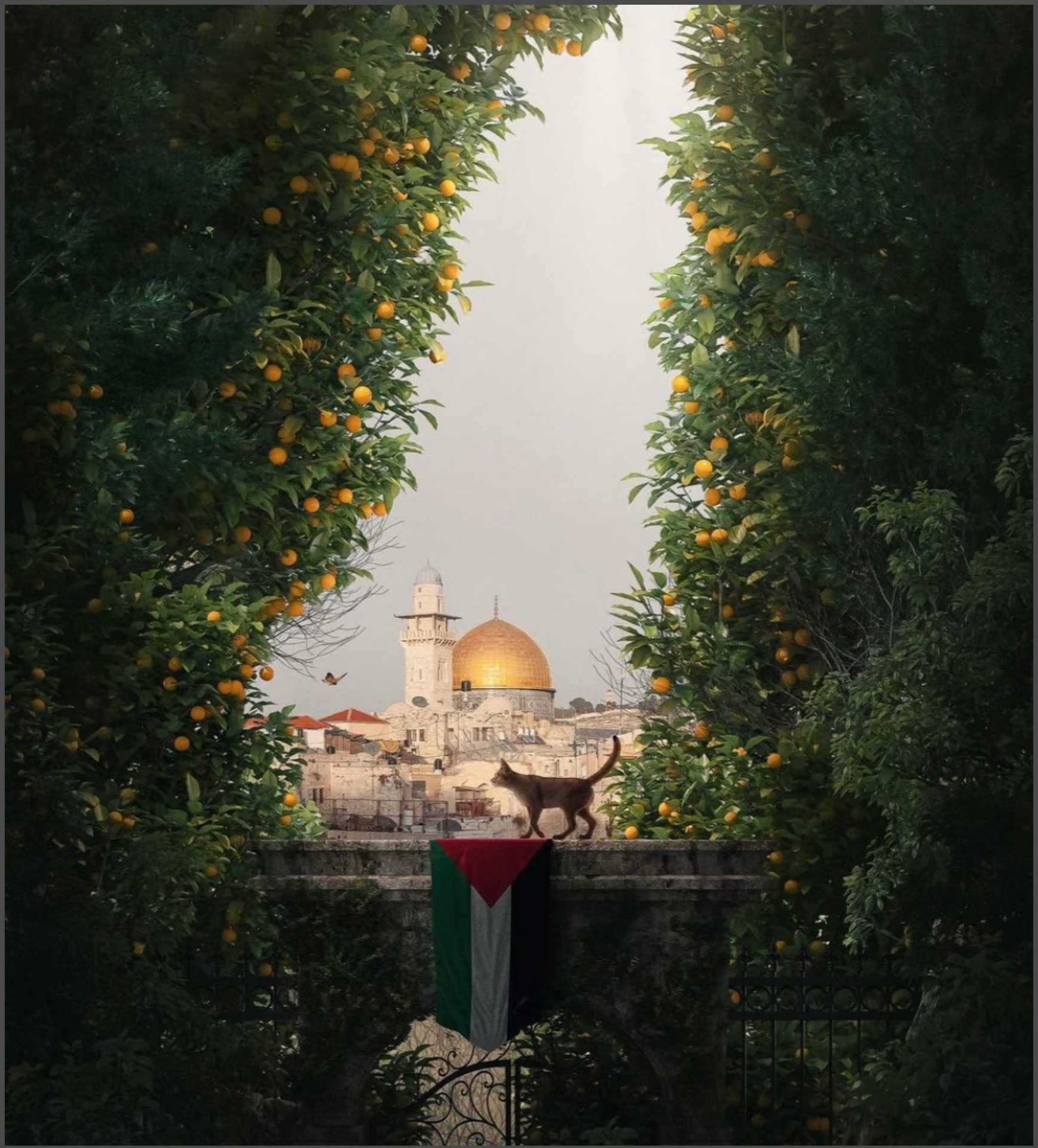 برتقال يافا