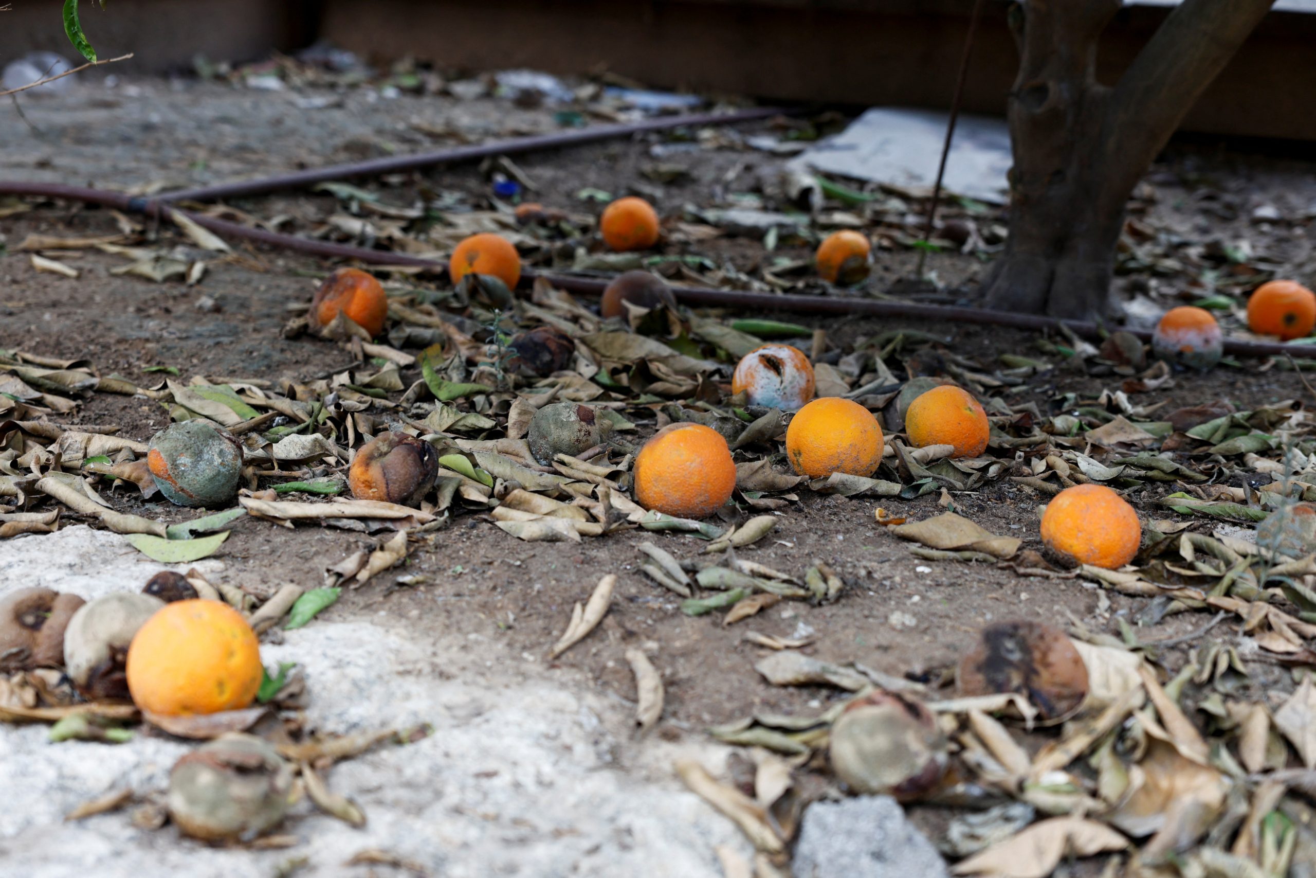 مستوطنات غلاف غزة