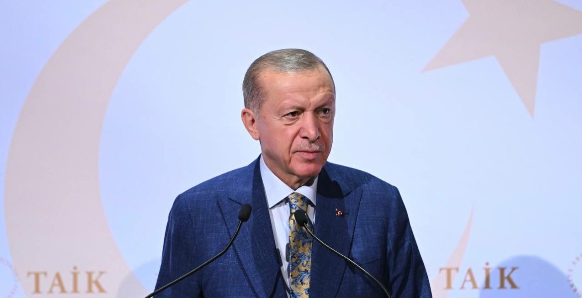 الرئيس التركي رجب طيب أردوغان / الأناضول