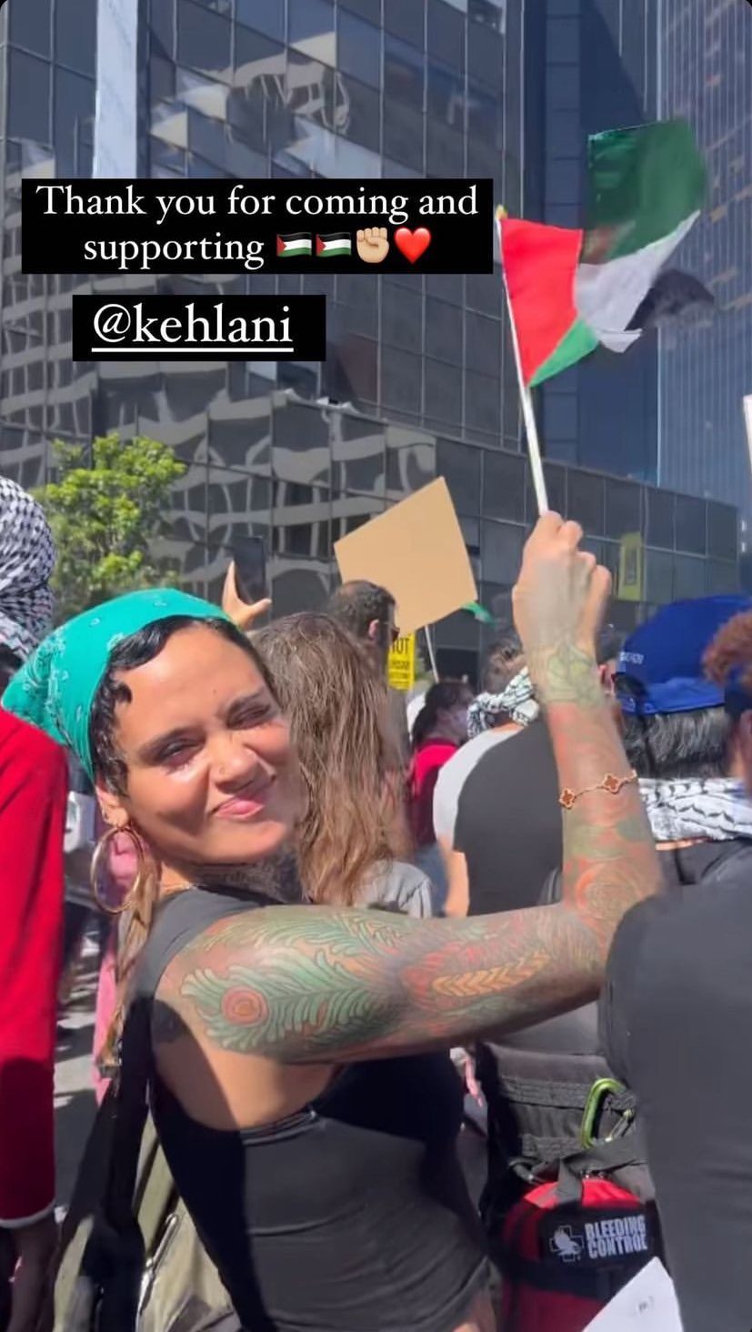كيلاني في مسيرات تضامنية مع فلسطين| مواقع التواصل