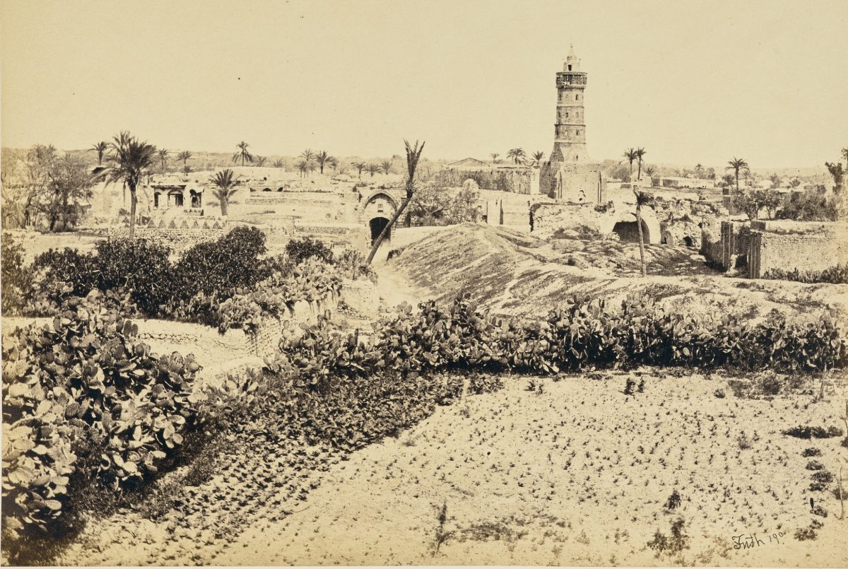 كانت تحت سيطرة قدماء المصريين لأكثر من 350 عاماً وزارها ابن بطوطة.. غزة ومنزلتها التاريخية