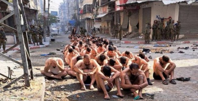 كليلة ودمنة واليوم العالمي لحقوق الإنسان