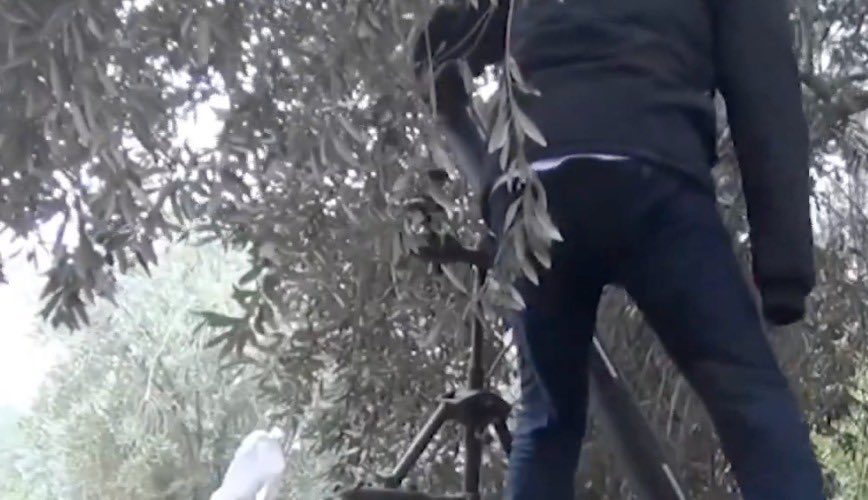 مقاتل من القسام في غزة