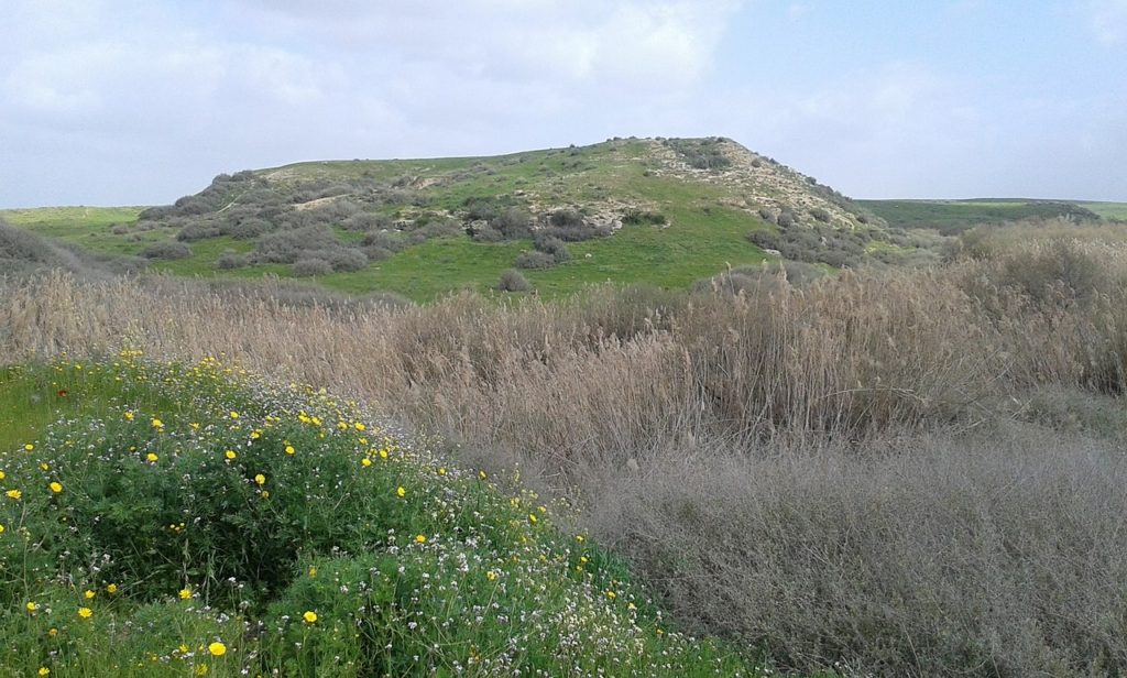 تل الشريعة على الفرع الشمالي لوادي غزة