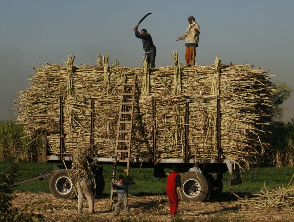 مصنع أبو قرقاص