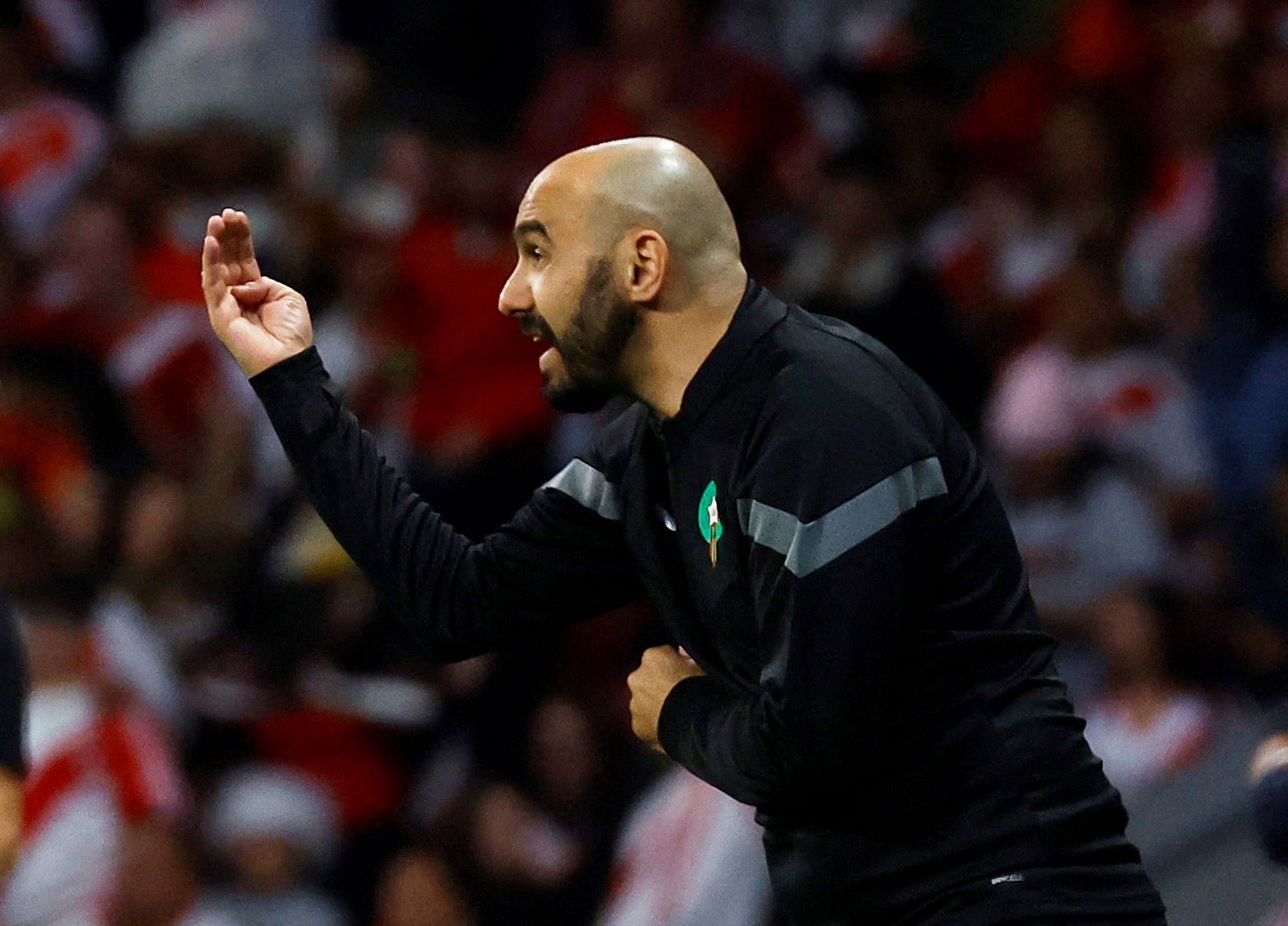 إيقاف وليد الركراكي