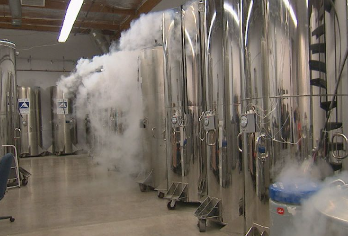 توابيت الخلود