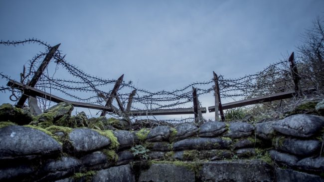 كل شيء هادئ على الجبهة الغربية.. رواية عن عبثية الحرب والموت