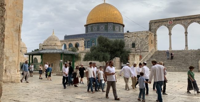 مستوطنون يرفعون الأعلام الإسرائيلية لأول مرة في المسجد الأقصى.. اقتحموا ساحاته في ذكرى احتلال فلسطين