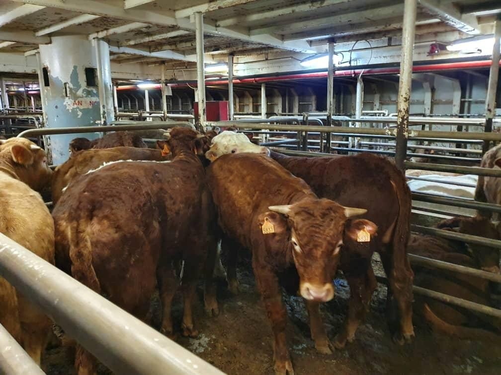 كيب تاون جنوب أفريقيا