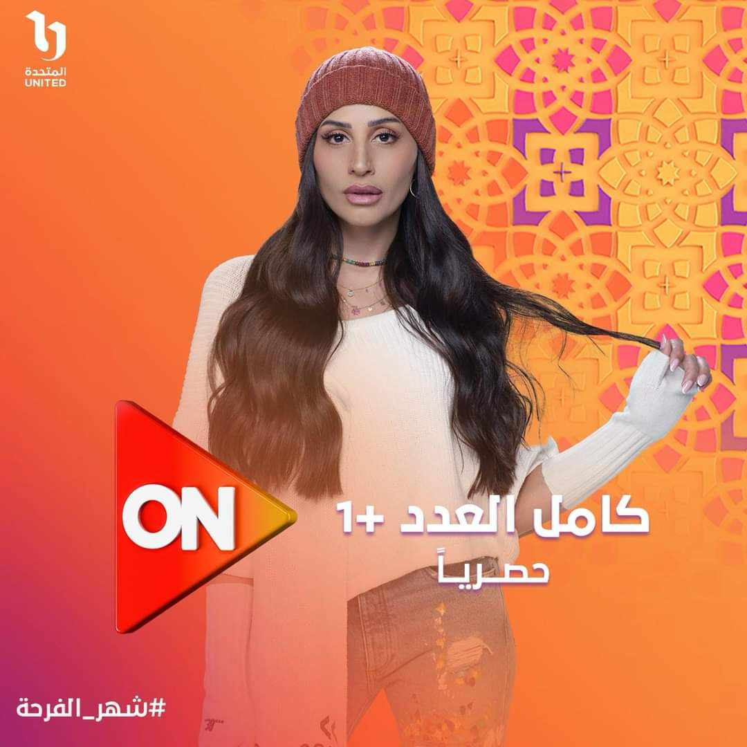 مسلسل كامل العدد + ١ من بطولة دينا الشربيني - صحف مصرية