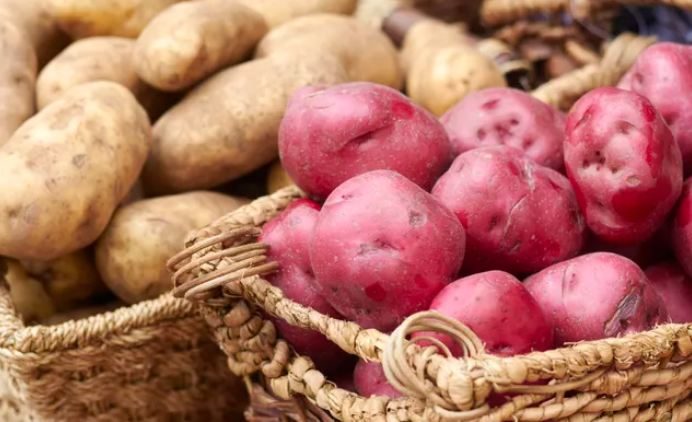 البطاطا البيضاء والحمراء