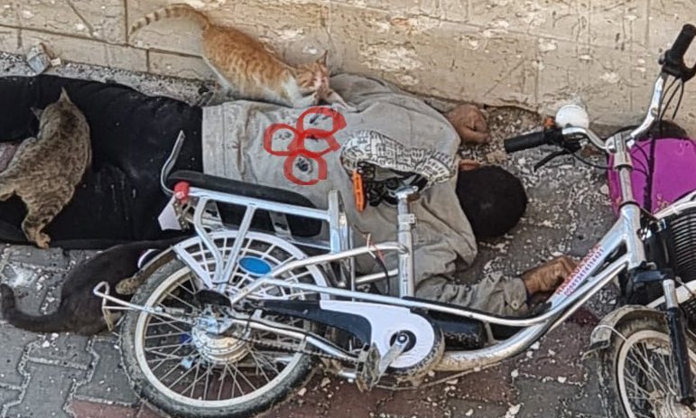 الاحتلال أعدم فلسطينيا في مدينة غزة/ المرصد الأورومتوسطي